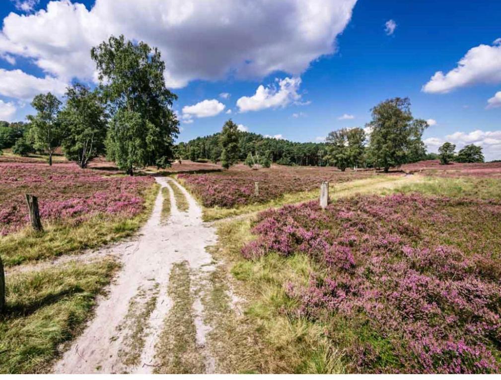 Feelslikehome - Reihenhaus Zwischen Hamburg Und Heide Mit Garten&Garage Neu Wulmstorf Ngoại thất bức ảnh